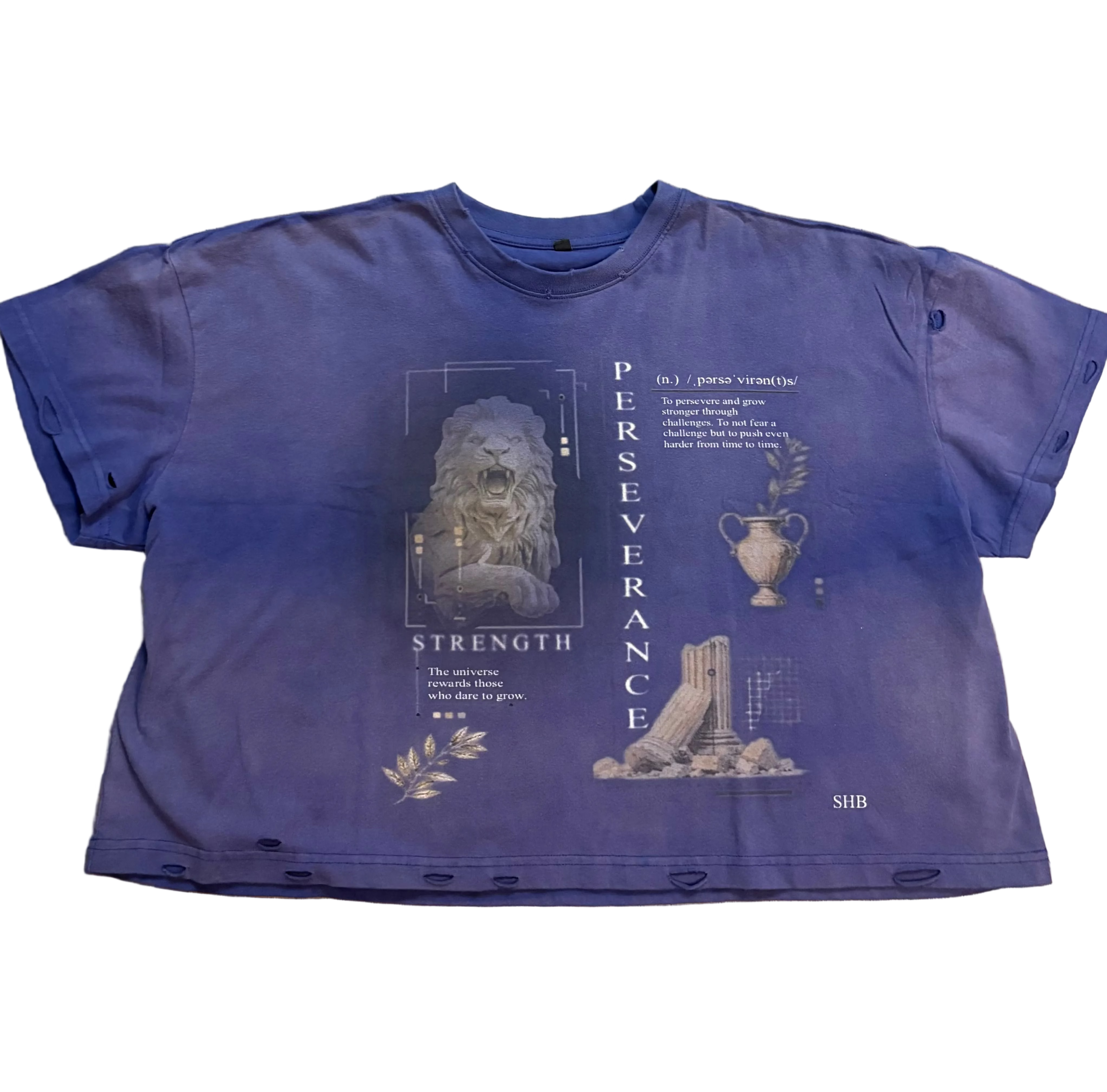 Blue Perseverance Tee